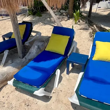 Beachfront Hammock Heaven