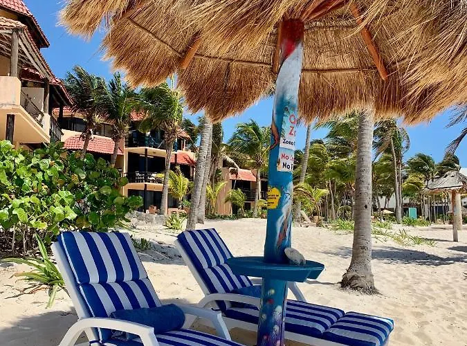 Apartment Beachfront Hammock Heaven