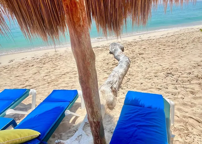 Beachfront Hammock Heaven Apartment Akumal