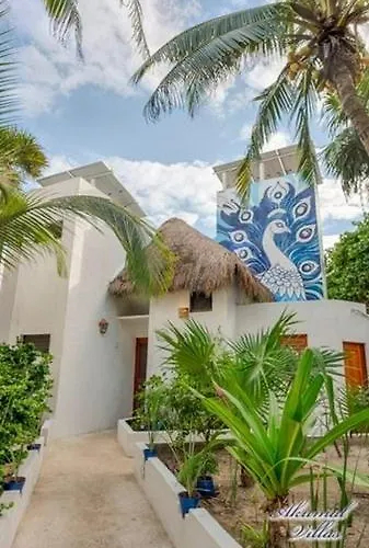 Beachfront Hammock Heaven Apartment Akumal