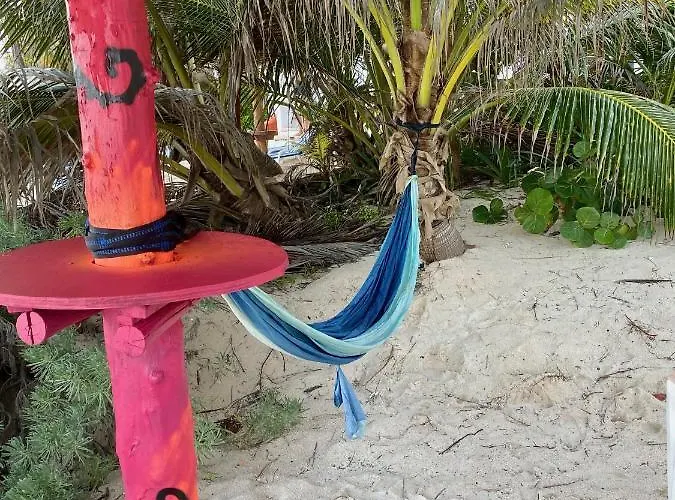 Beachfront Hammock Heaven